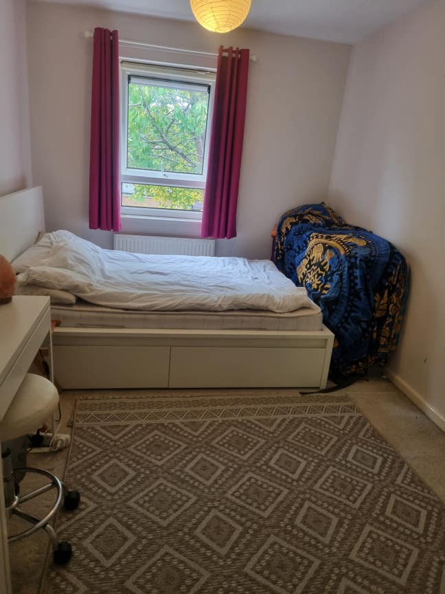 Large double room in vegetarian family house Main Photo