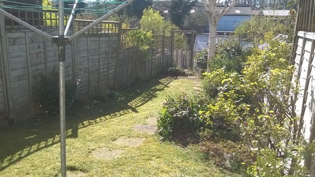 Female housemate wanted Main Photo