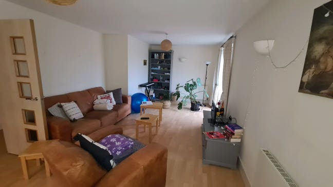 Looking for tidy, easy-going professional Main Photo