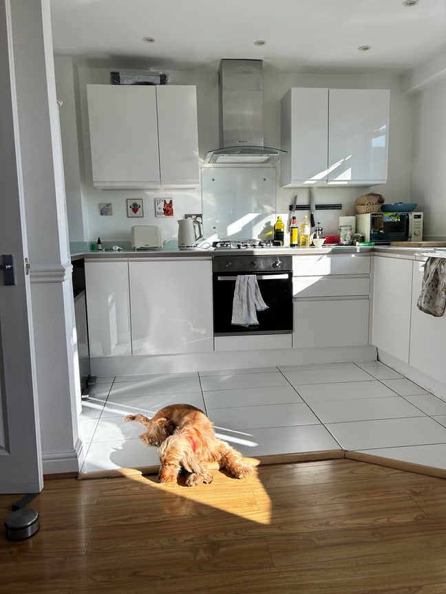 Double Room in sunny Highbury 2 bed flat! Main Photo