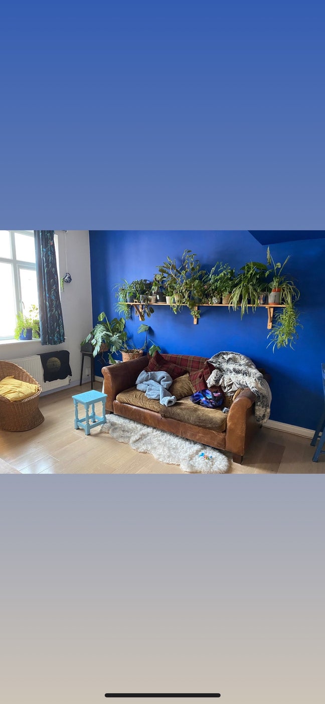 2 bed flat available for November ONLY  Main Photo