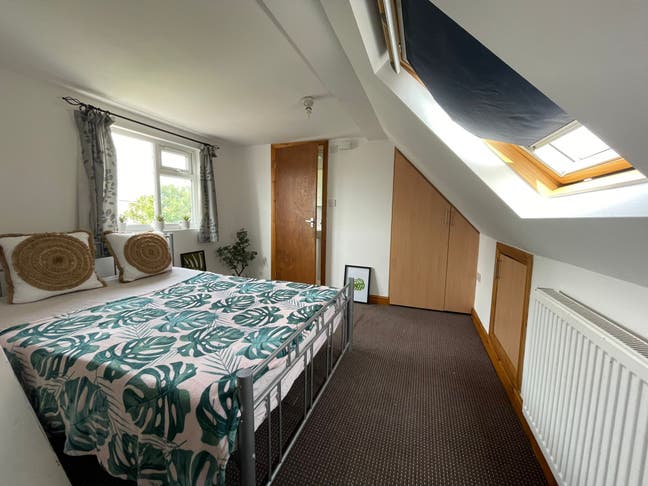 Studio Flat Bills inc  Main Photo