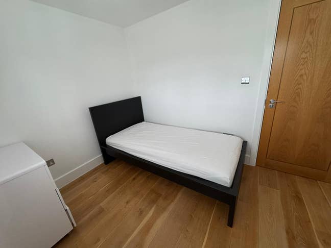 Single Room in SS14 Main Photo