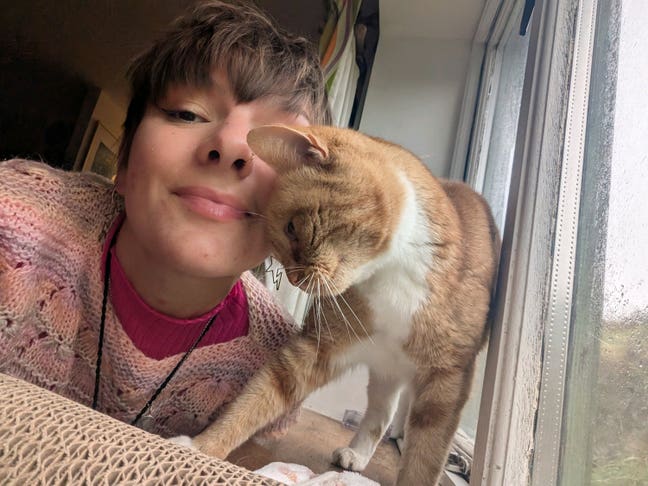 Seeking caravan or annexe type property Main Photo