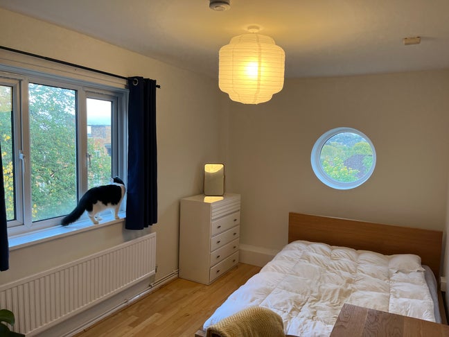 Double Room Available in Friendly, Relaxed Home Main Photo
