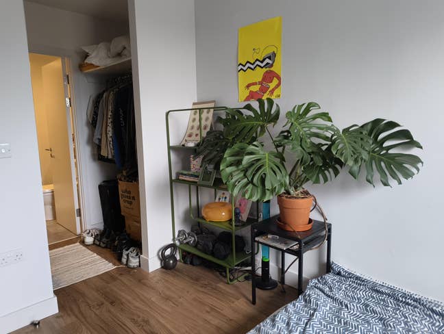 Looking for a female flatmate:)) Main Photo