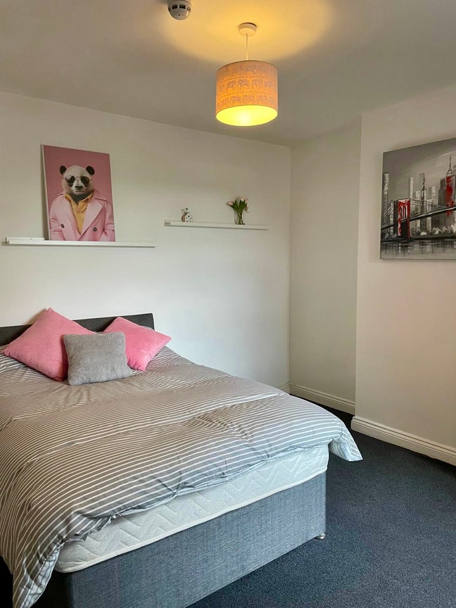 Clean Comfortable Room in Great LE3 Location! Main Photo