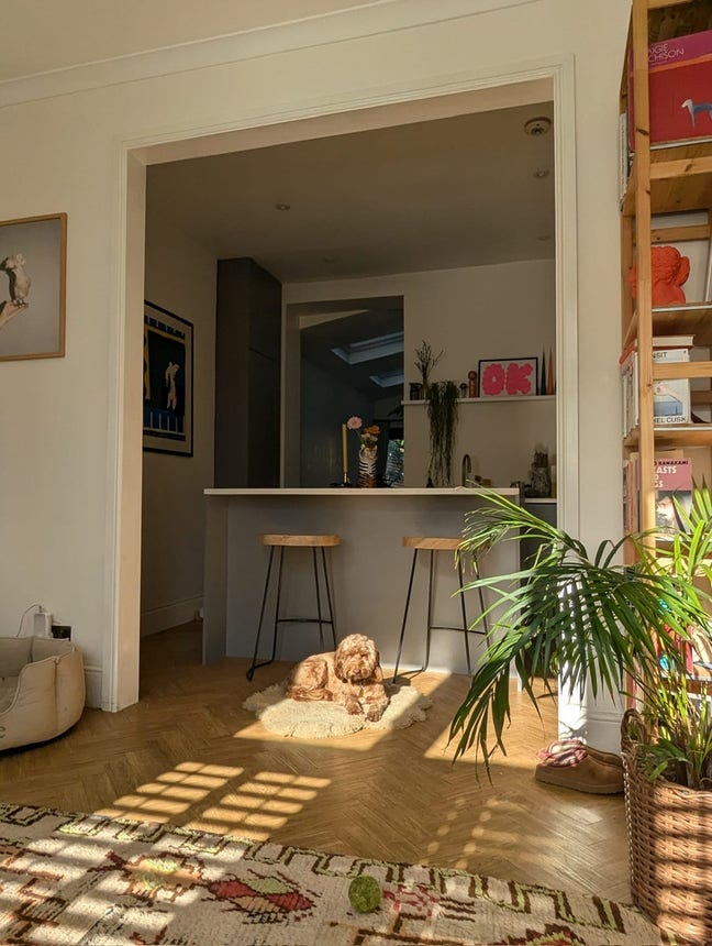 Double room in lovely Peckham flat with garden Main Photo