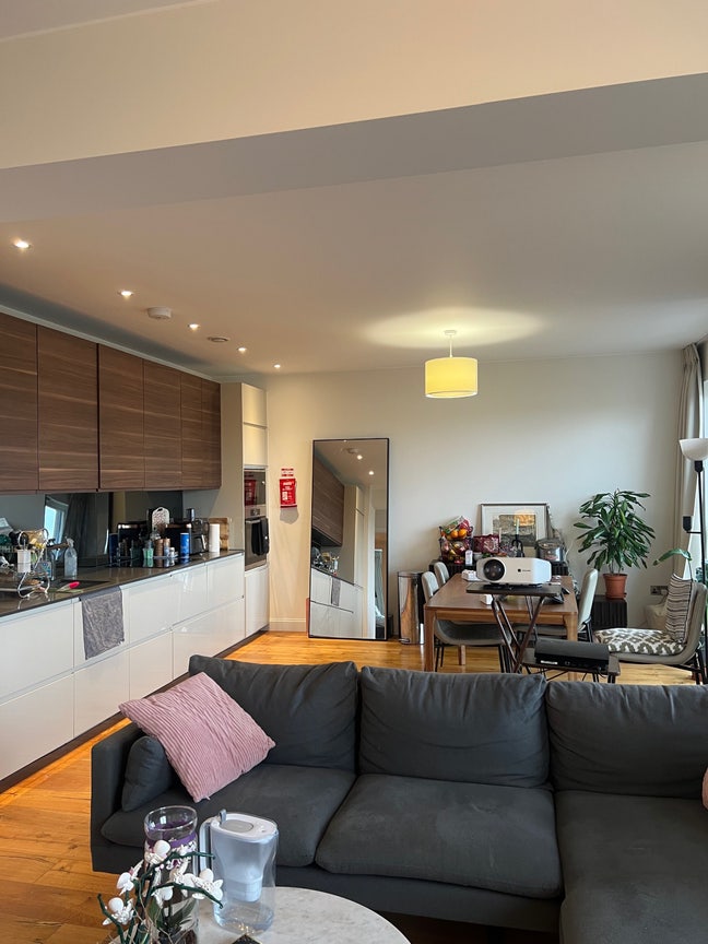 Bright Room In Beautiful Modern Vegan/Veggie Flat Main Photo