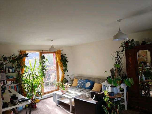 2 Rooms in a Spacious Flat Main Photo