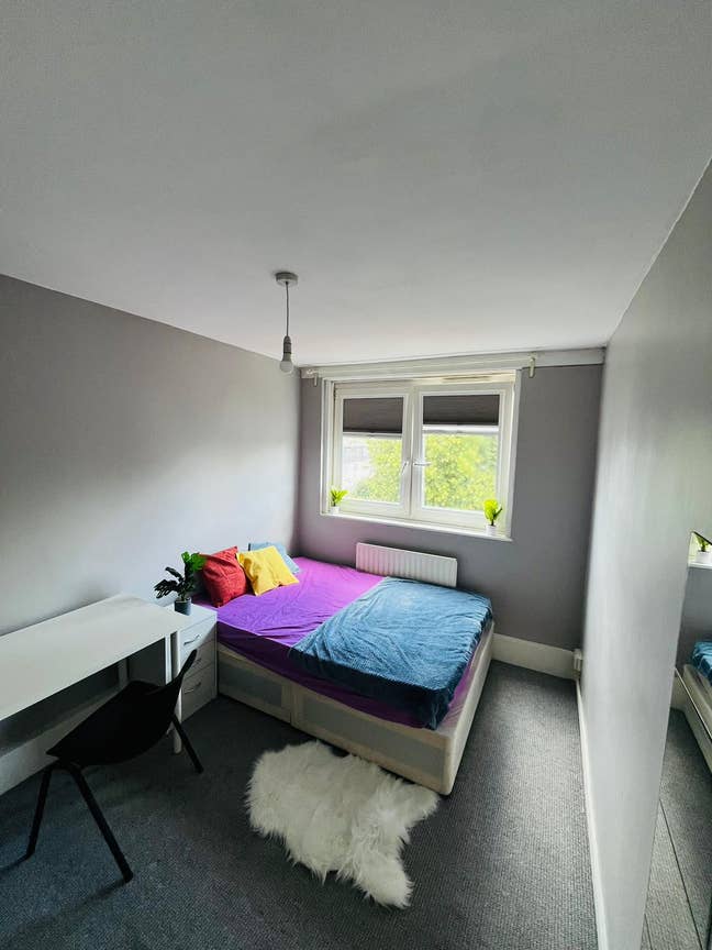 Double Room in Tooting Bec - All Bills Inc Main Photo