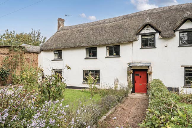 Room in quiet rural location in Crediton outskirts Main Photo
