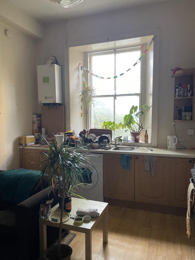 ✨🏠Room in Newington available in November!! 🌿✨ Main Photo