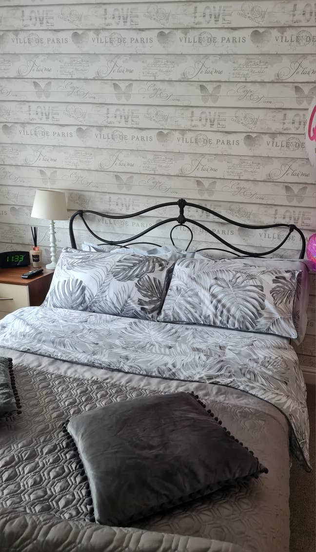 Quiet friendly house share near town ... Main Photo