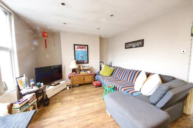 Professional Female, looking for housemate! Main Photo