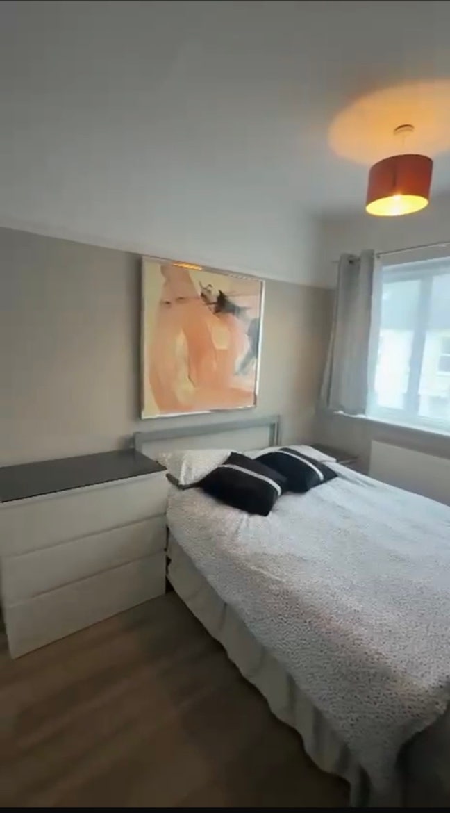 Looking for a New Flatmate! Main Photo