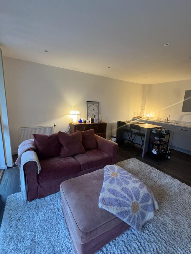 Pet Friendly 2-Bed 2-Bathroom Flat in Acton Main Photo