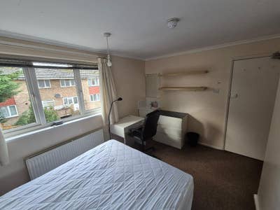 Double room for female tenant in Hatfield Main Photo