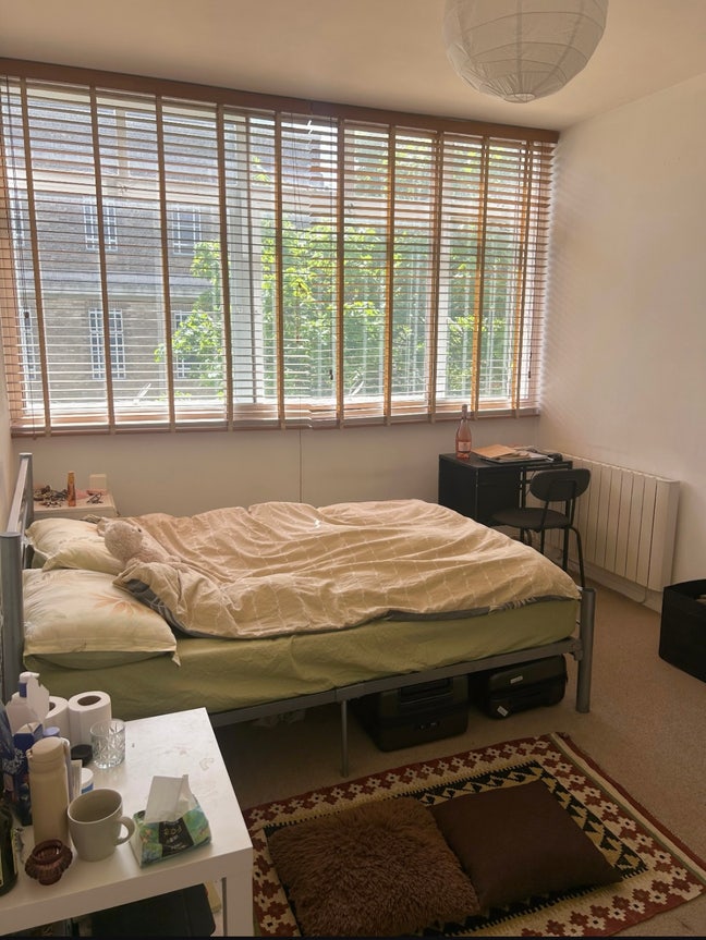 Large Double Room near kingscross/UCL Main Photo