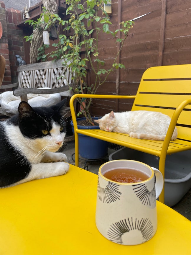 Cat-Friendly Home near Elizabeth Line - Bills Inc. Main Photo