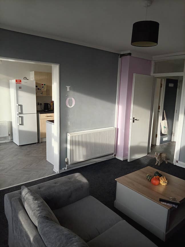 1 double room  Main Photo