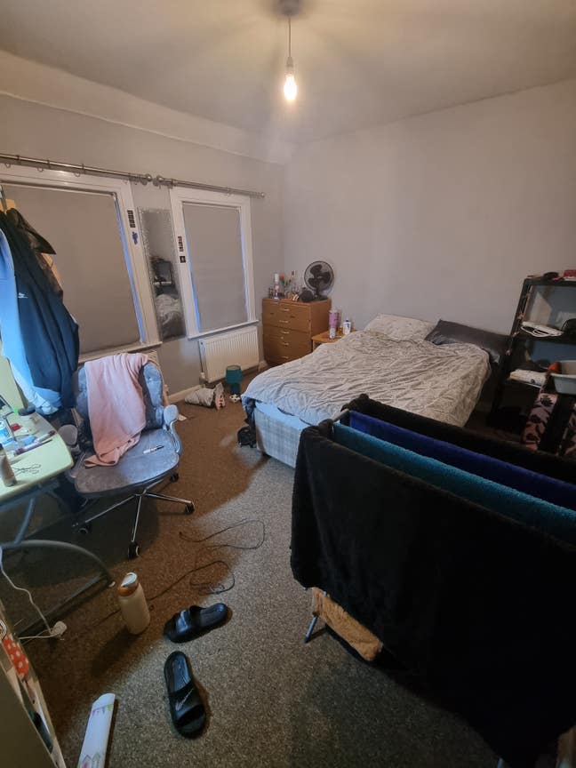 Room Available in All Girls Student House Main Photo