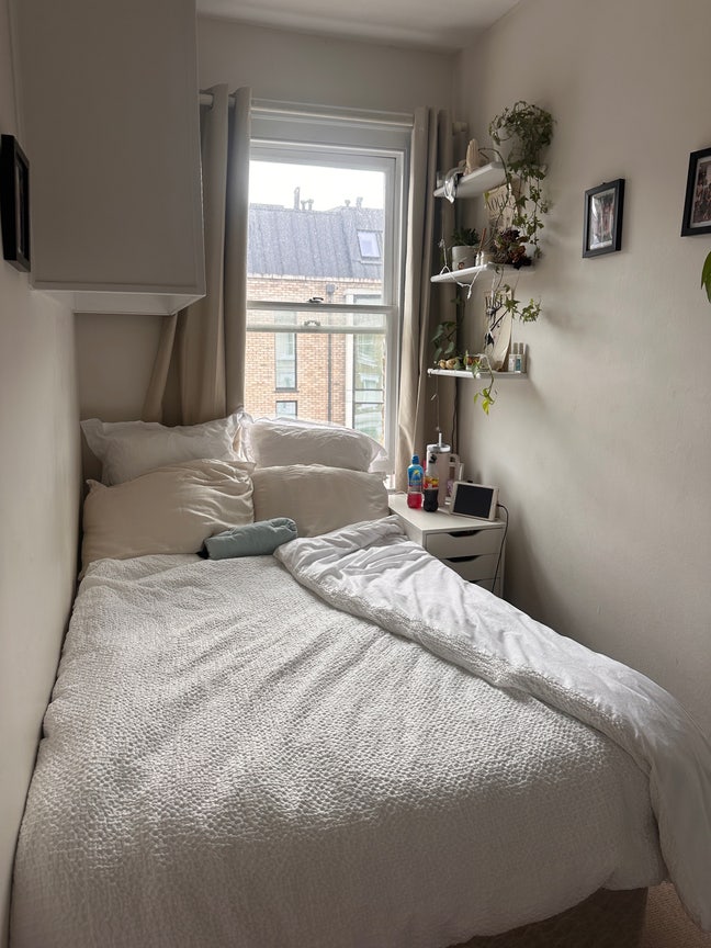 Sunny Battersea room☀️ Main Photo