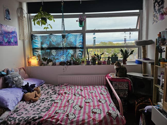 ☀️Bright large double room, LGBTQ+ household🏳️‍🌈 Main Photo