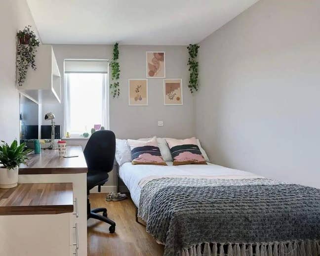 Room for Rent in a friendly flat of 6 - Oxford Main Photo