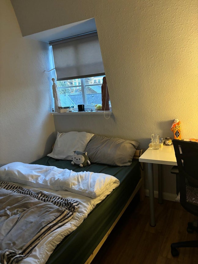 Zone 1 room in friendly flat - All bills included! Main Photo