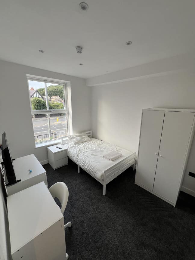 Ensuite Room – Newly Renovated House in Waterloo Main Photo