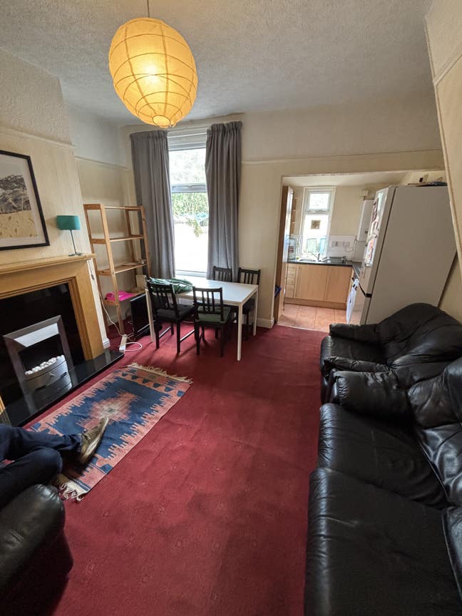 (W) 1 room available  nr park & uni, free rent OCT Main Photo
