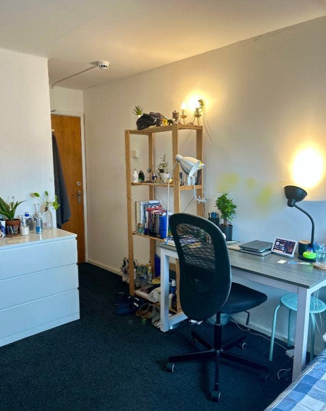 Modern Professional Room - Bromley South Station Main Photo