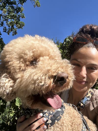 Woman & Fluffy Dog Seeking Quiet Studio/ 1 Bed Main Photo