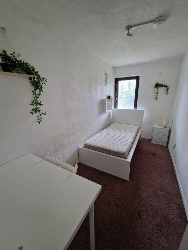 ** Kentish Town ** Cosy Single Room ** Main Photo