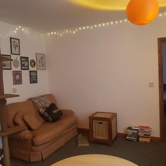 1 Bed Unfurnished Ground Floor Flat in HU3 to Rent Main Photo