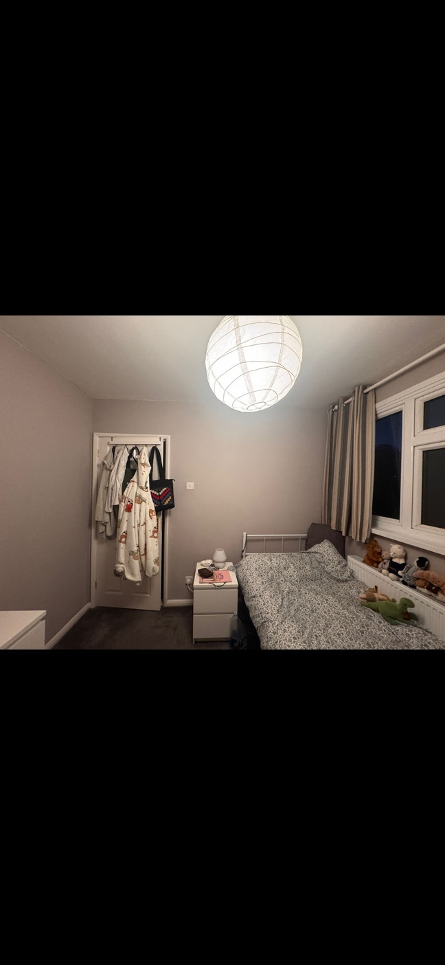 Looking for a single female tenant Main Photo