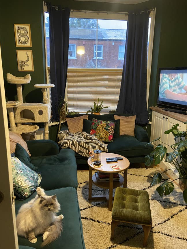 Room in a central Moseley home Main Photo