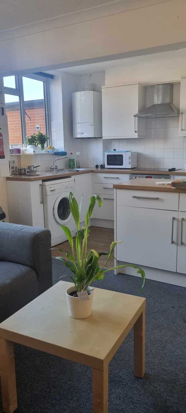 Homely  Main Photo