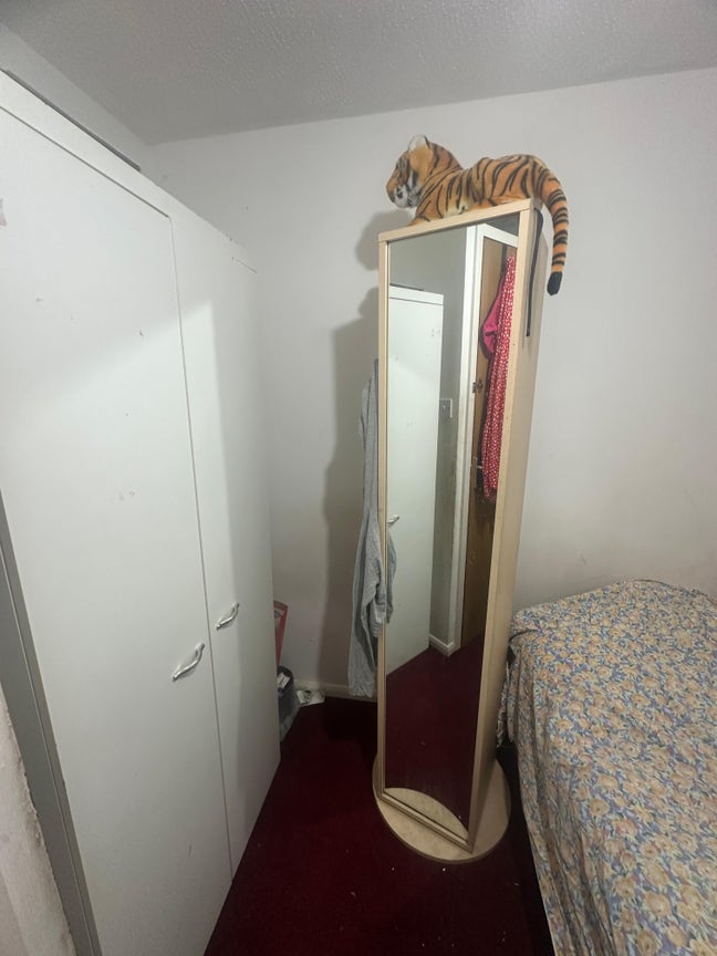 Single room available in cb1 Main Photo