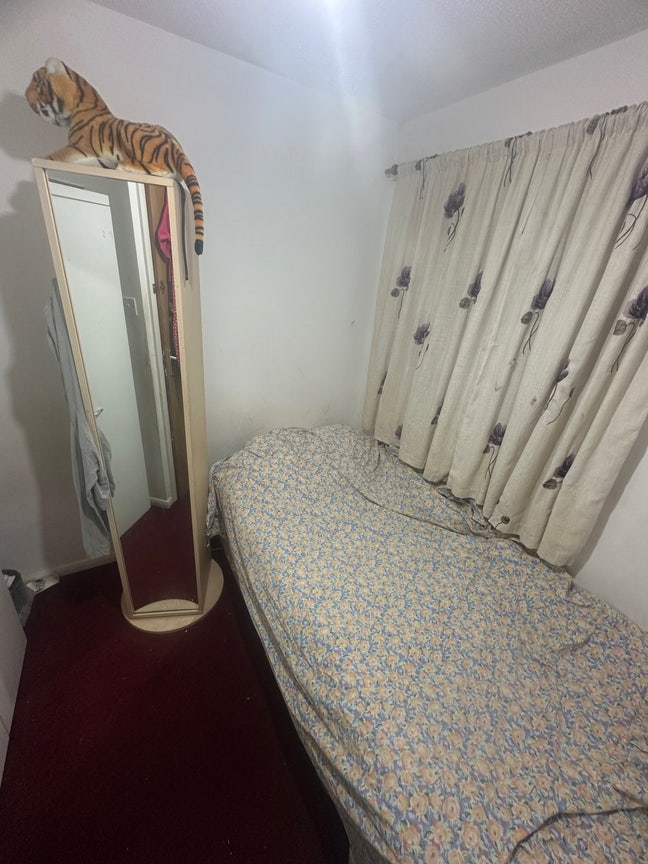 Looking for single roommate  Main Photo