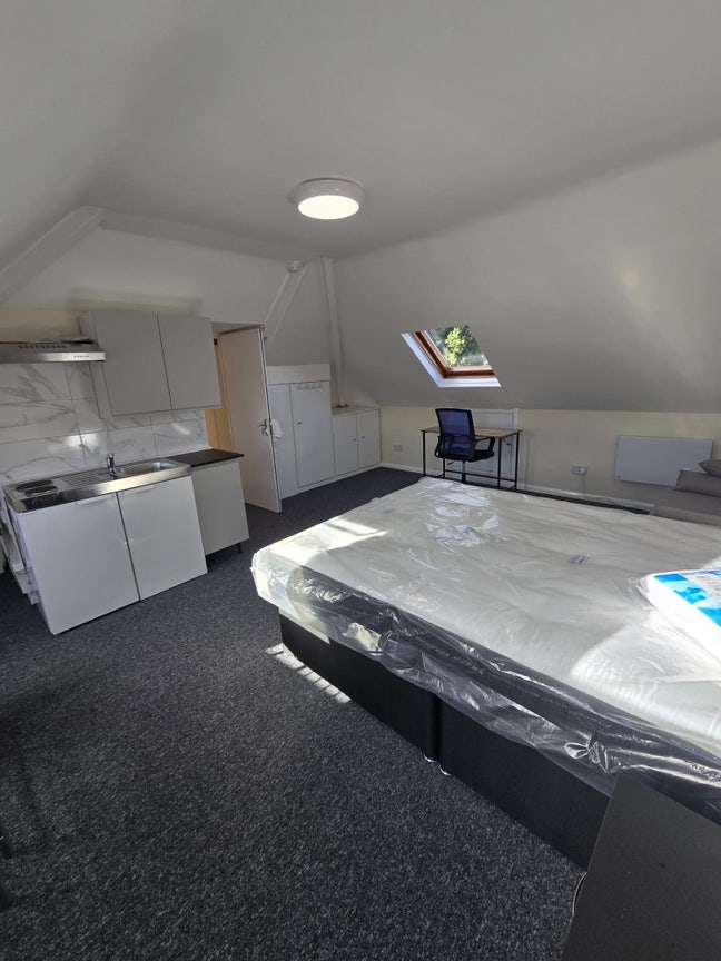 A brand new en-suite studio flat in loft 🤩🤩 Main Photo