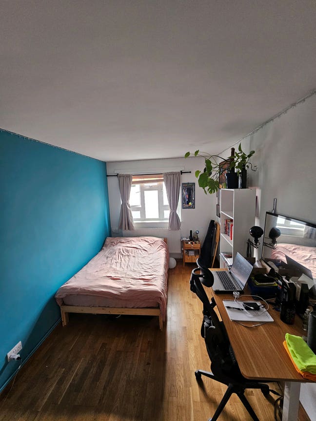 ✨️Brixton/Camberwell sublet (15/11 till 1/2 )✨️ Main Photo