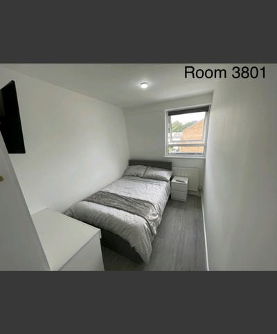 3801 Central Location - Room + Private Bathroom  Main Photo