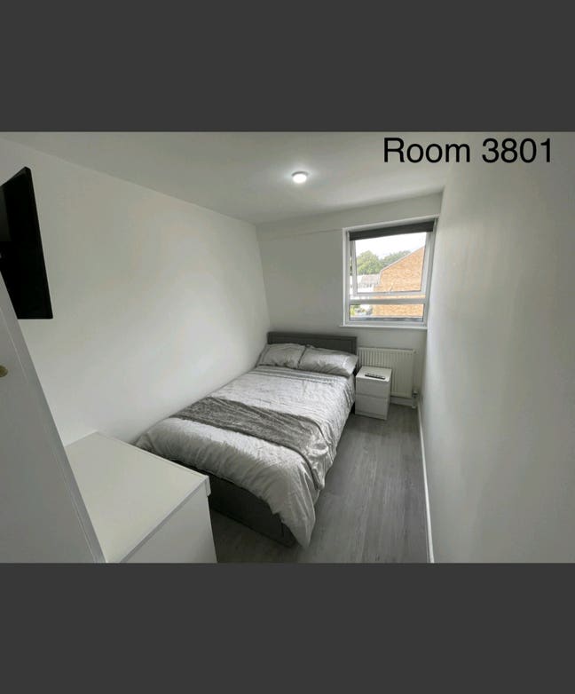 3801 Central Location - Room + Private Bathroom  Main Photo