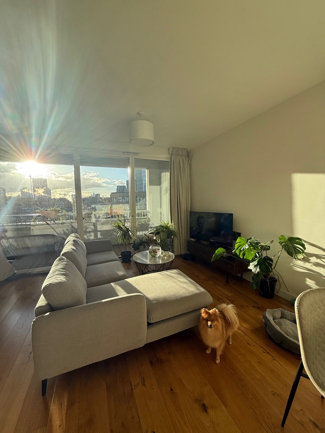 Looking for a Flatmate to Co-sign Contract  Main Photo