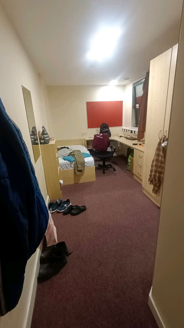 Roommate  Main Photo