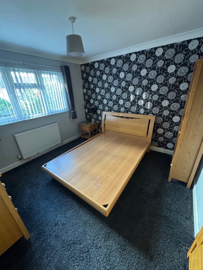 Spacious Room Available  Main Photo