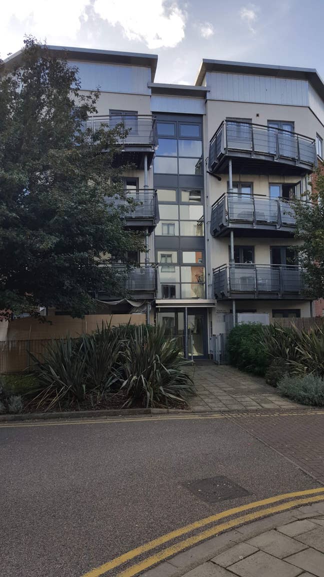 Cosy 1 bed flat Main Photo