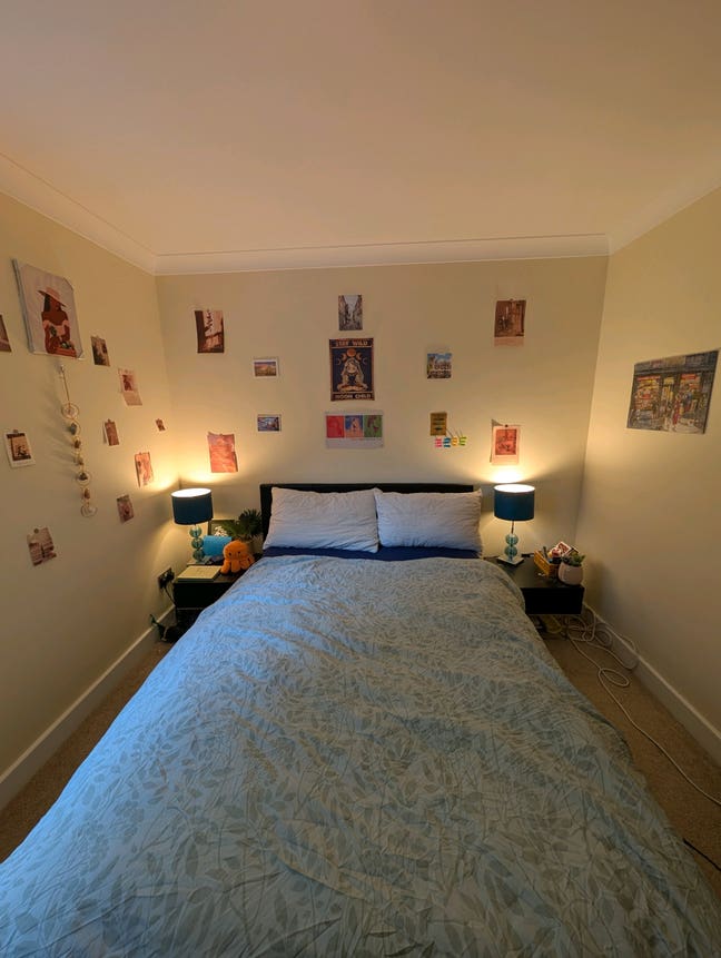 Room in a 2bed-2 bath near St. Paul's  Main Photo